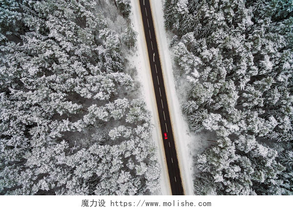 航空影像的公路在森林中二十四节气立冬小雪大雪冬至小寒大寒